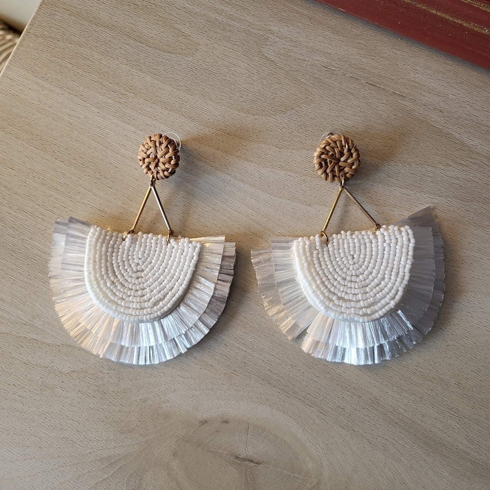 Fun Fringe Beaded Earrings